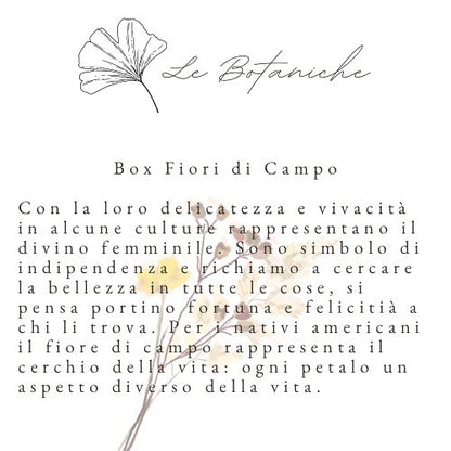 Box Fiori di Campo