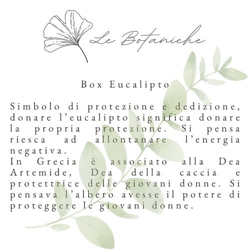Box Eucalipto